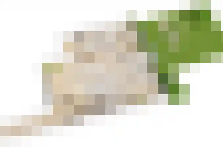 Groeneweg 69 J IJmuiden thumbnail 8