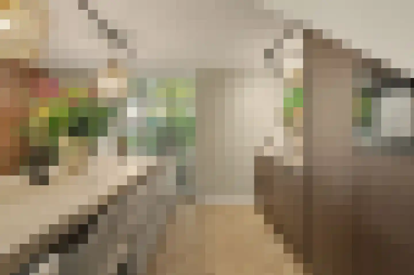 Groeneweg 7 E Reusel thumbnail 11