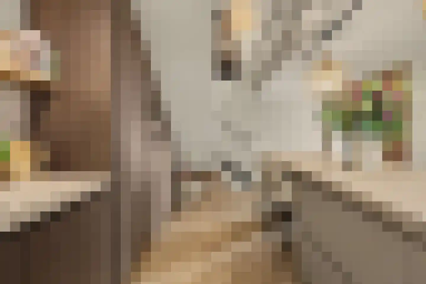 Groeneweg 7 E Reusel thumbnail 12