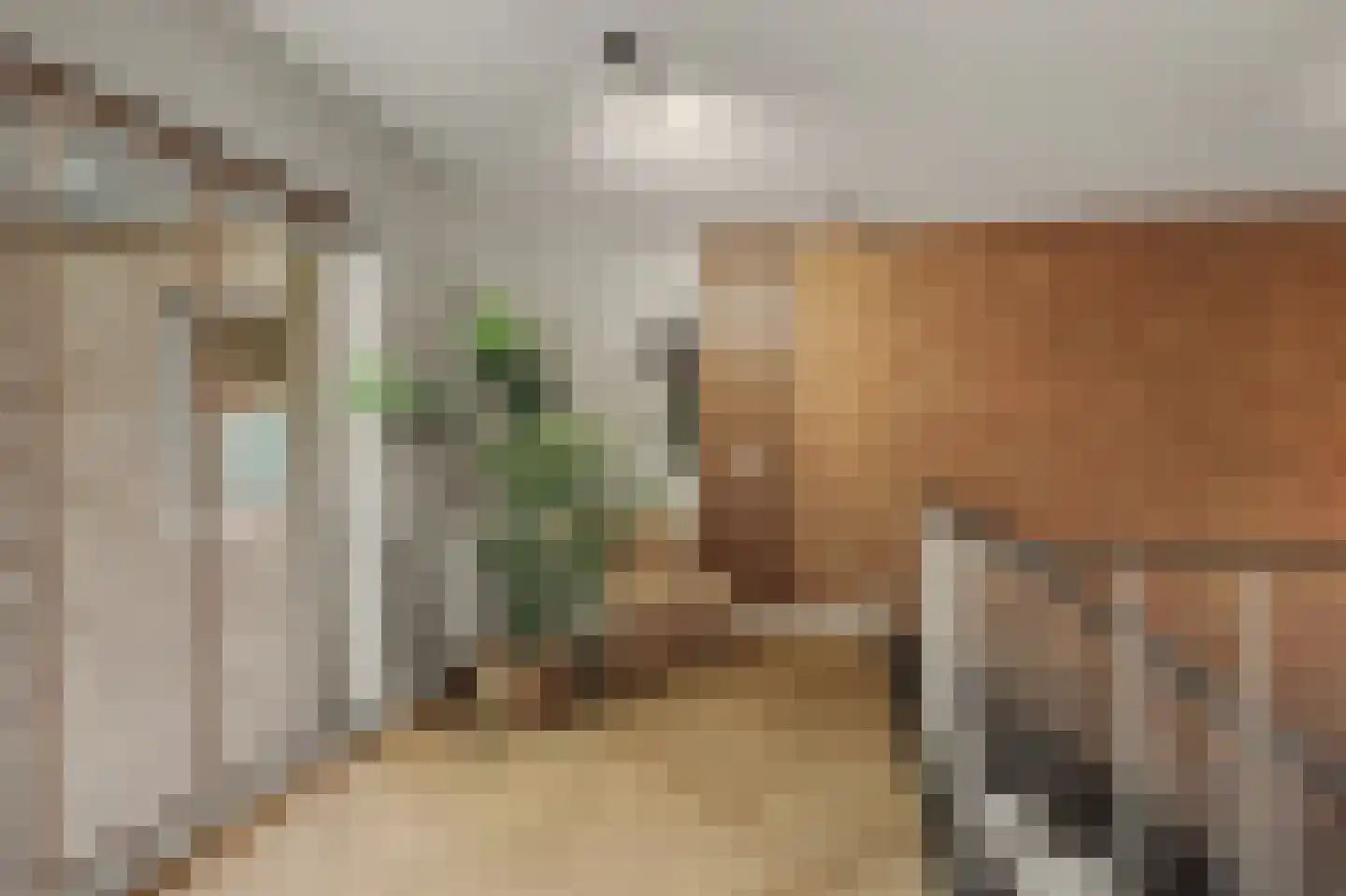 Groeneweg 7 E Reusel thumbnail 23