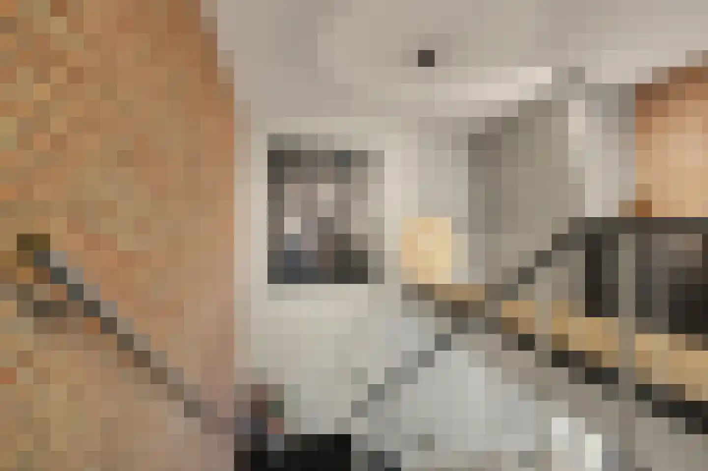 Groeneweg 7 E Reusel thumbnail 25