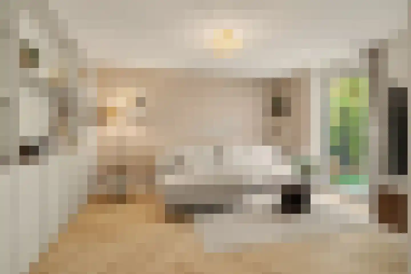 Groeneweg 7 E Reusel thumbnail 4