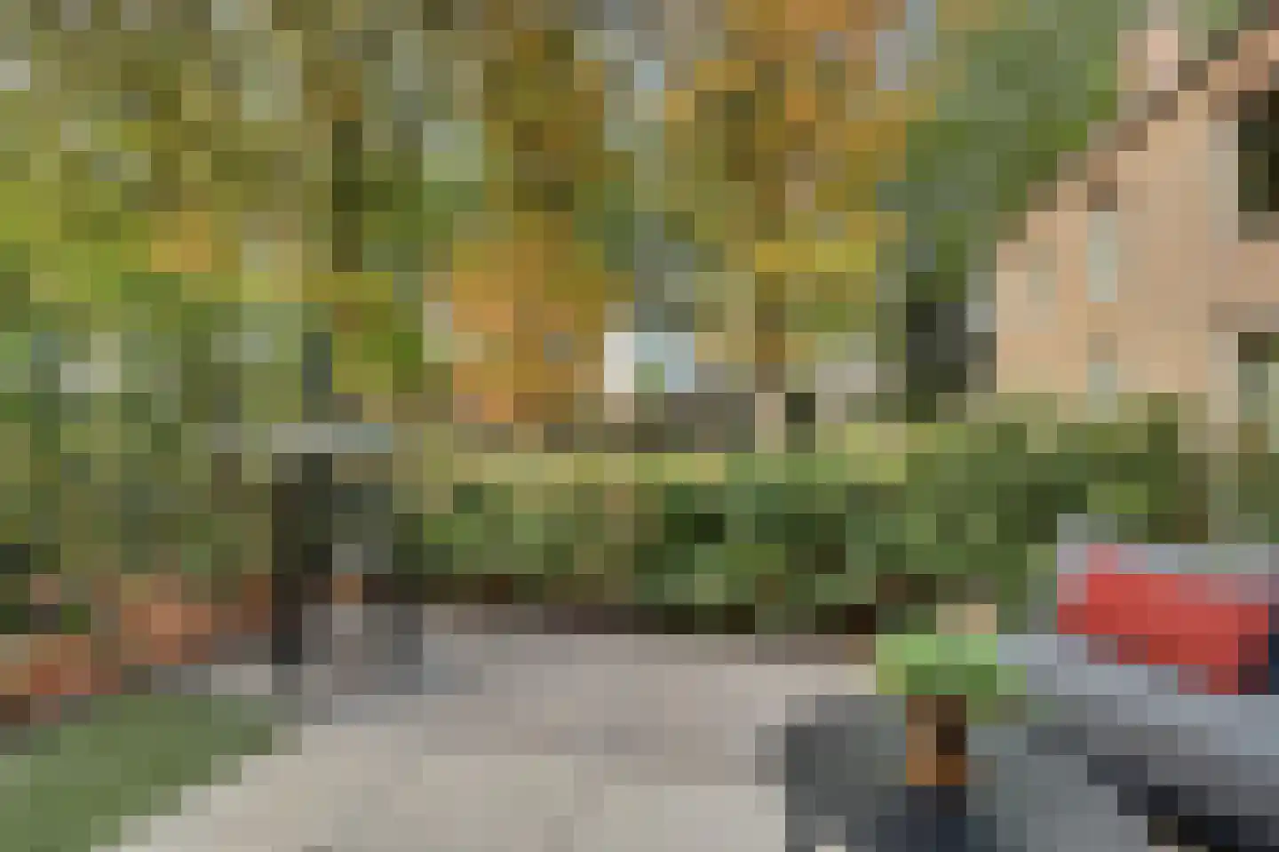 Groeneweg 7 E Reusel thumbnail 40