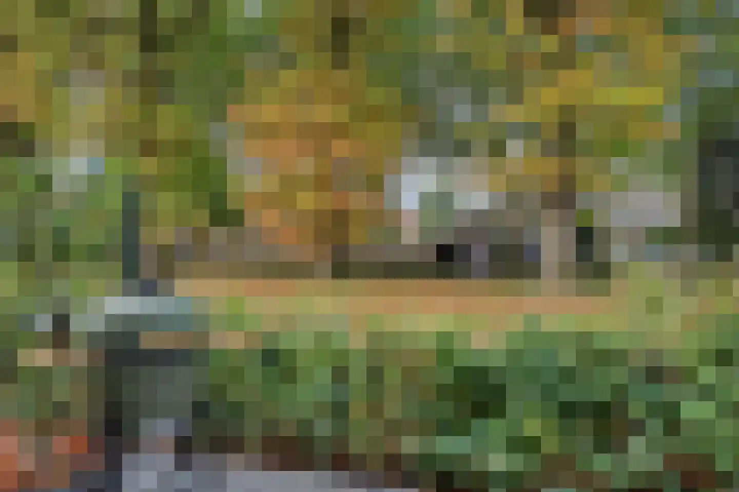Groeneweg 7 E Reusel thumbnail 41