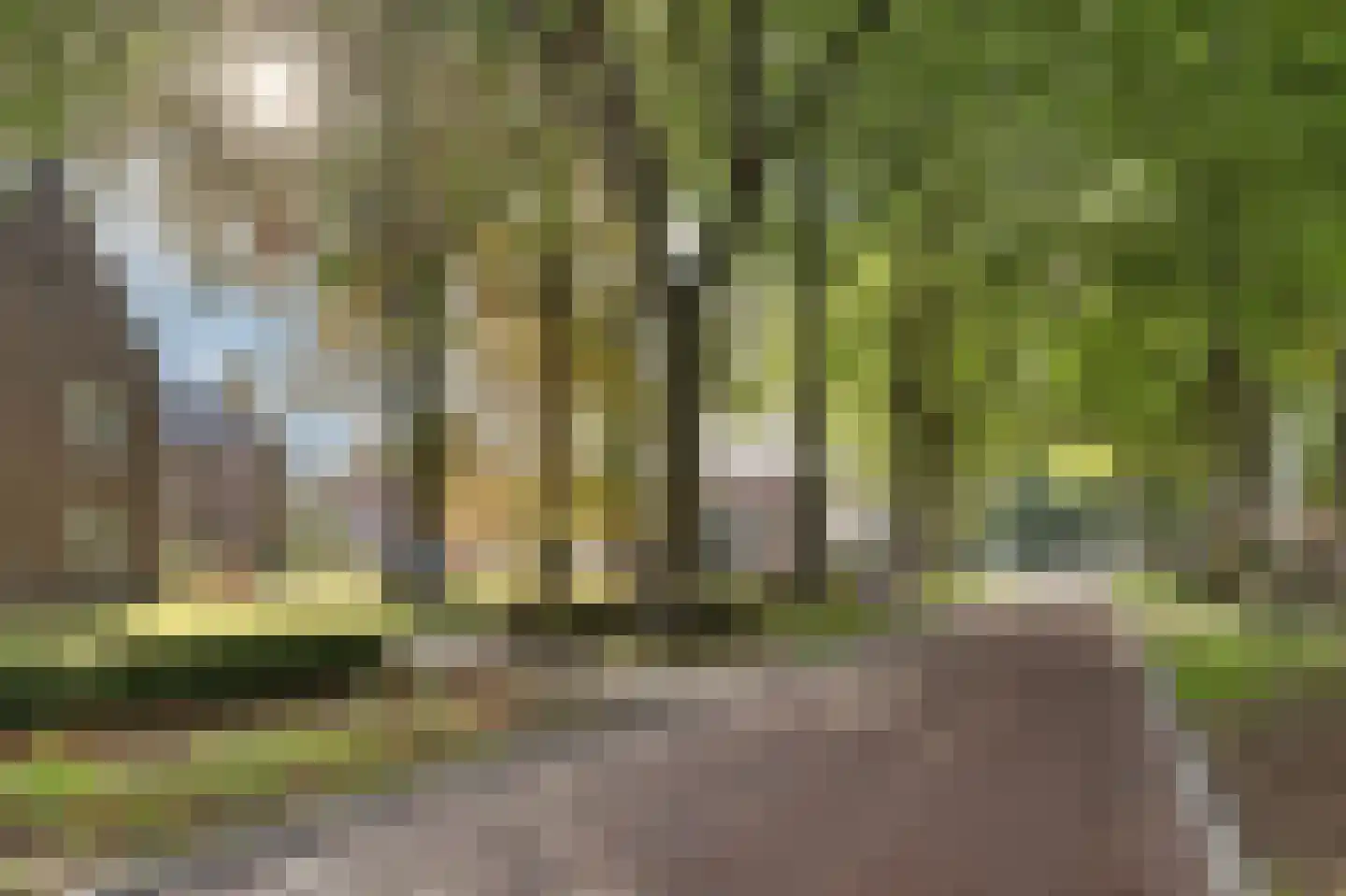 Groeneweg 7 E Reusel thumbnail 47