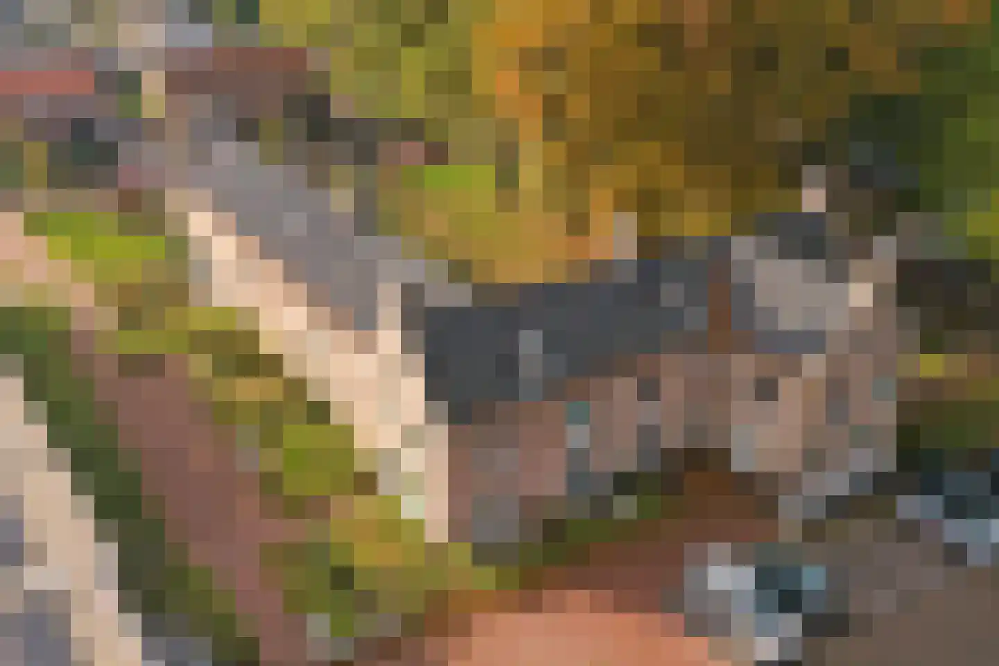 Groeneweg 7 E Reusel thumbnail 50
