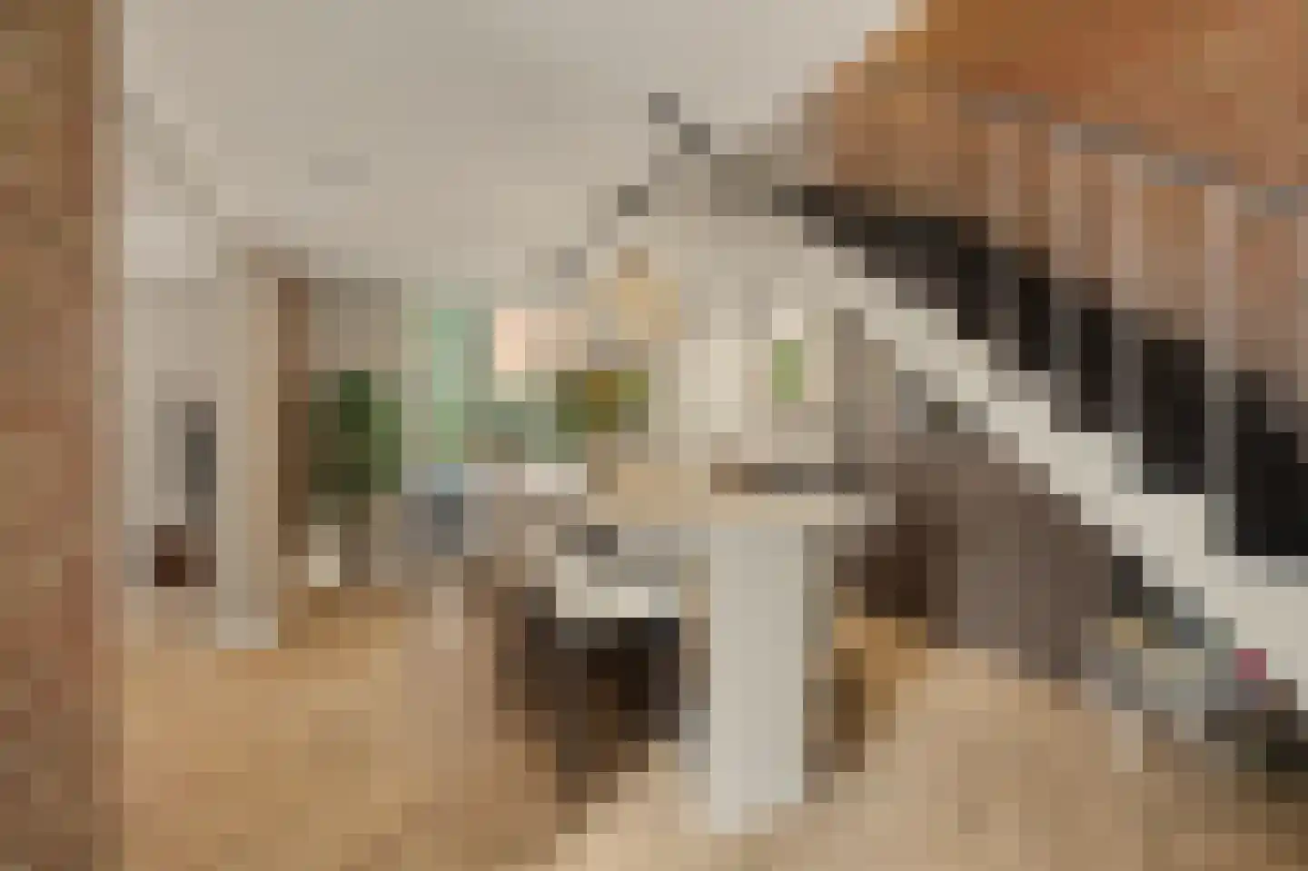 Groeneweg 7 E Reusel thumbnail 8