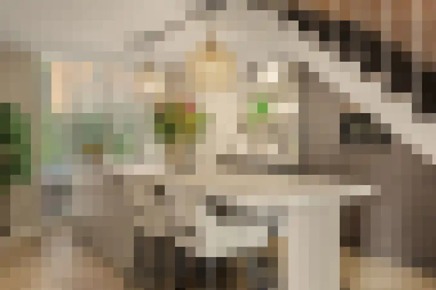 Groeneweg 7 E Reusel thumbnail 9