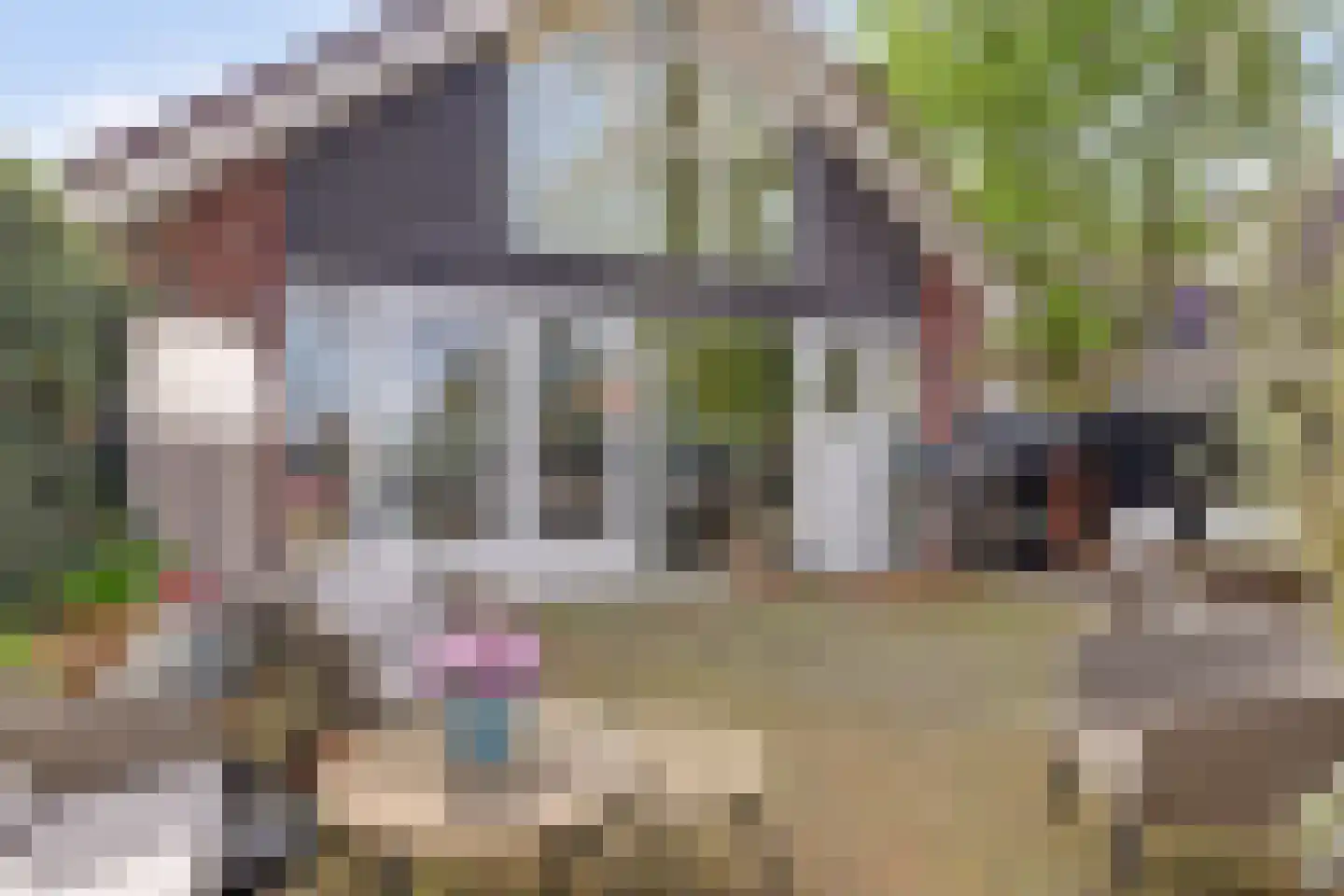 Groeneweg 70 Alkmaar thumbnail 48
