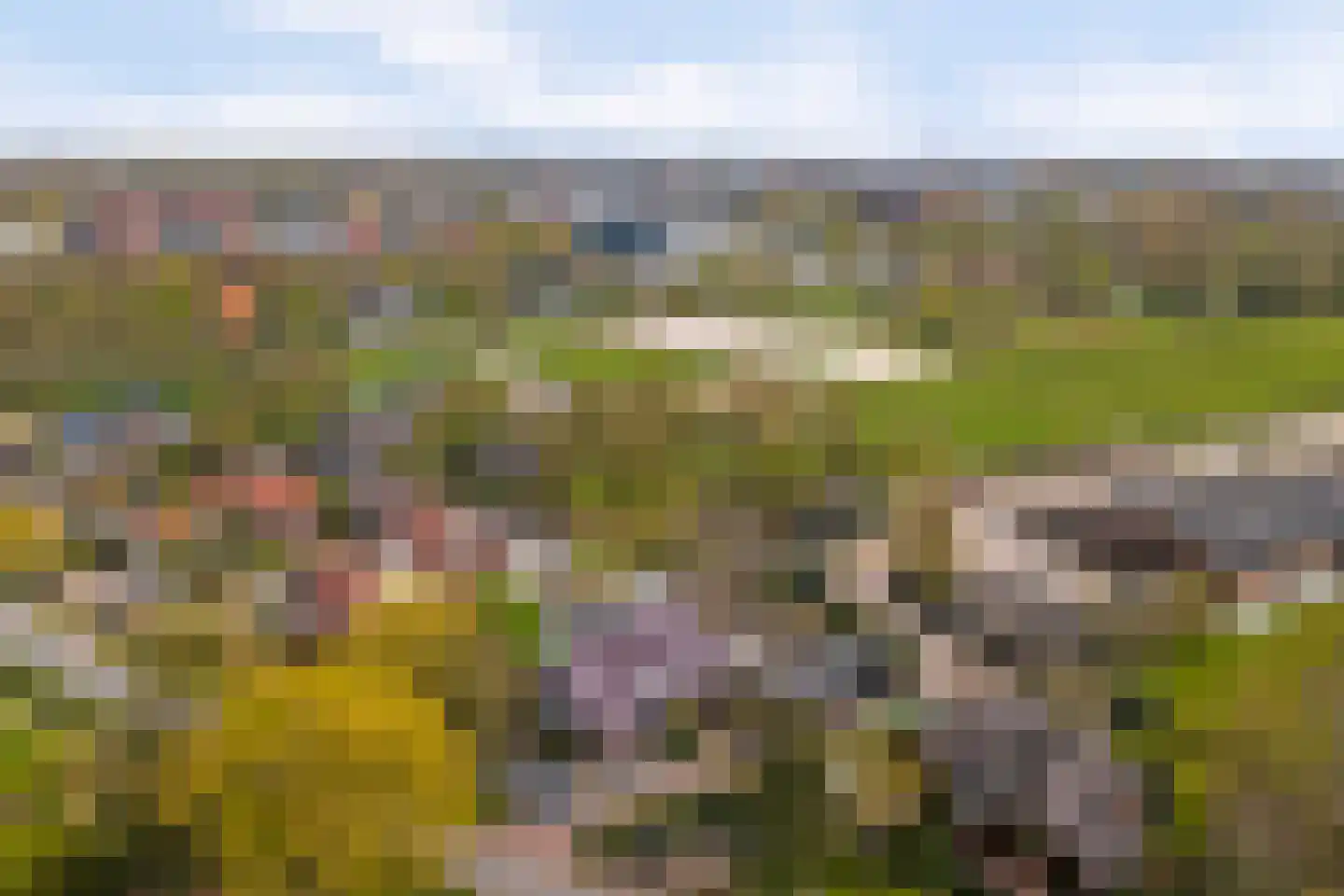 Groeneweg 70 Alkmaar thumbnail 53