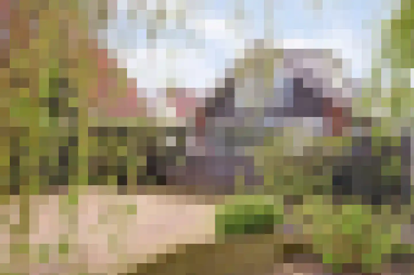 Groeneweg 70 Alkmaar thumbnail 67