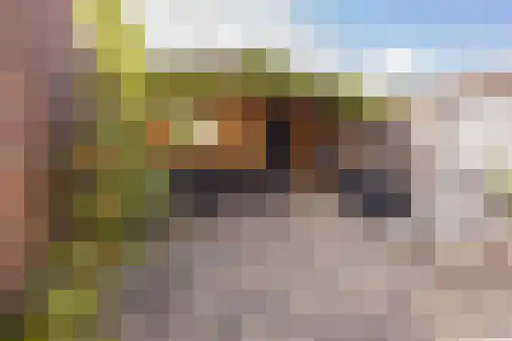 Groeneweg 76 IJmuiden thumbnail 11