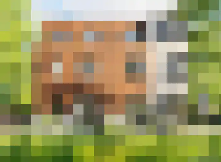 Groeneweg 8 Heiloo thumbnail 10