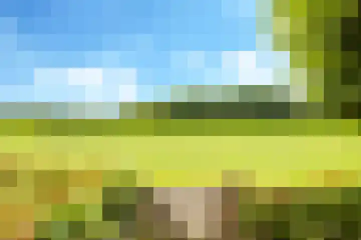Groeneweg 8 Hummelo thumbnail 102