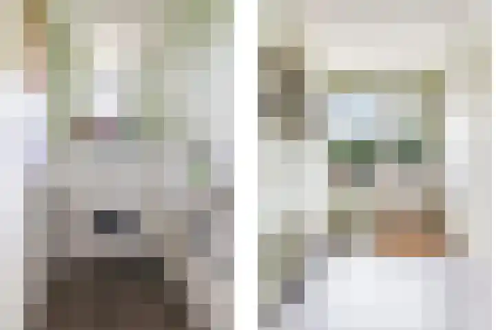 Groeneweg 8 Hummelo thumbnail 14