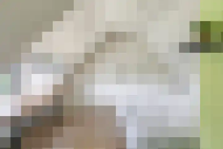 Groeneweg 8 Hummelo thumbnail 64