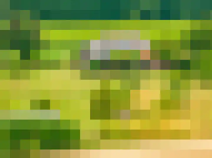 Groeneweg 8 Hummelo thumbnail 67