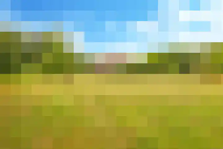 Groeneweg 8 Hummelo thumbnail 7