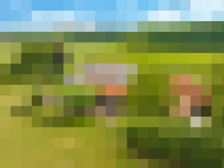 Groeneweg 8 Hummelo thumbnail 70