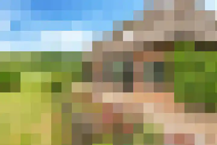 Groeneweg 8 Hummelo thumbnail 72
