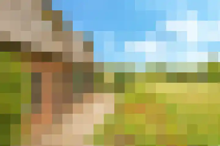 Groeneweg 8 Hummelo thumbnail 73