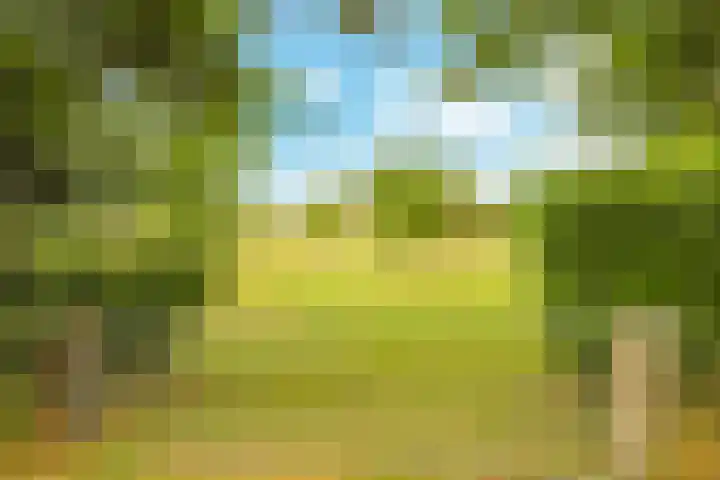 Groeneweg 8 Hummelo thumbnail 74