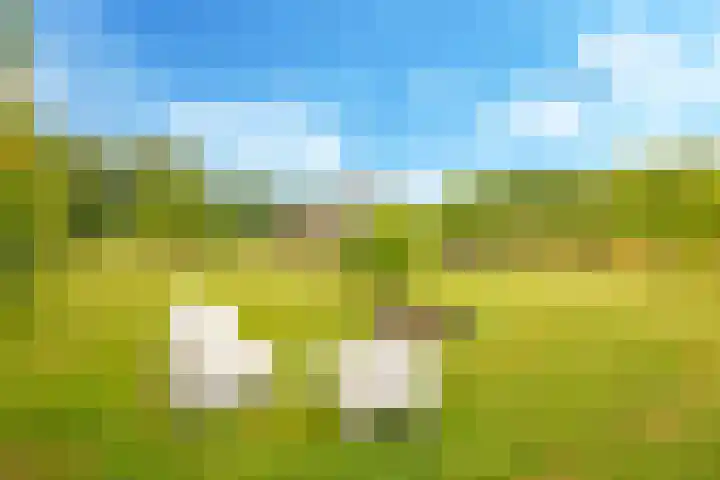 Groeneweg 8 Hummelo thumbnail 77