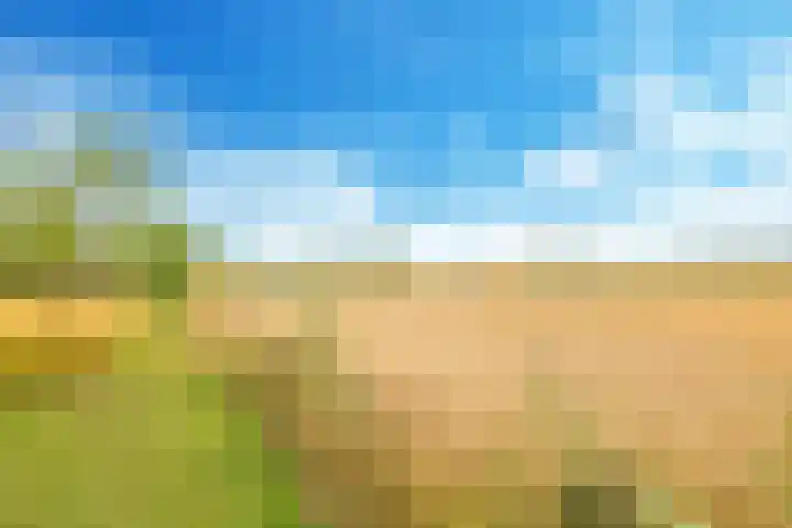 Groeneweg 8 Hummelo thumbnail 83