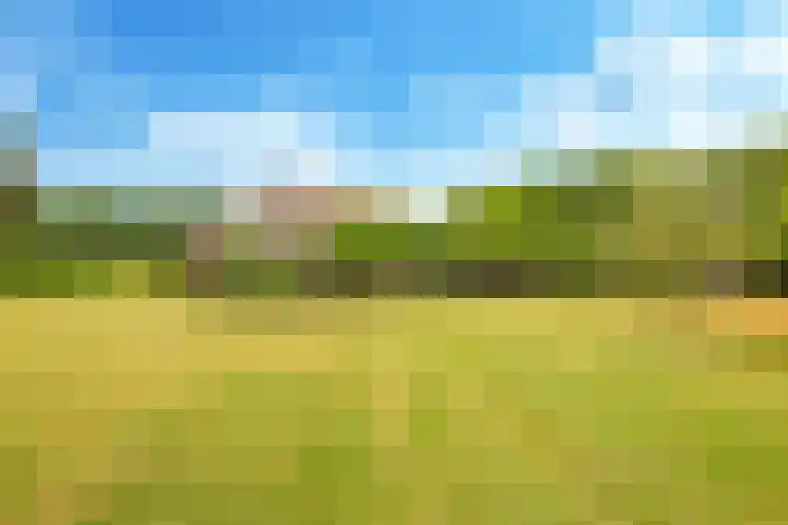 Groeneweg 8 Hummelo thumbnail 85