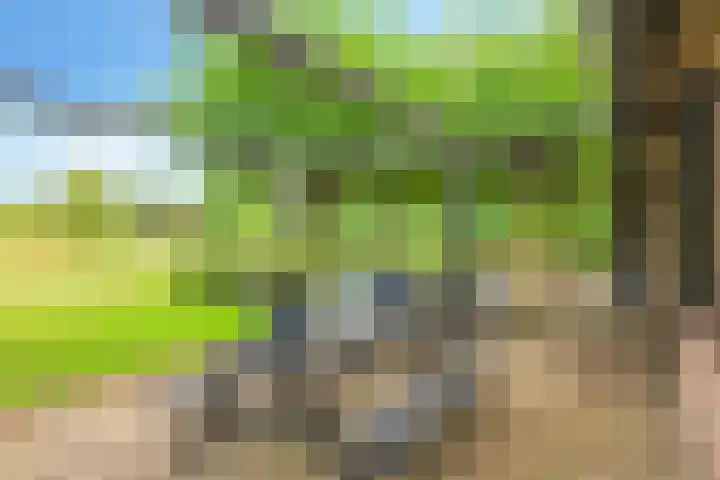 Groeneweg 8 Hummelo thumbnail 90