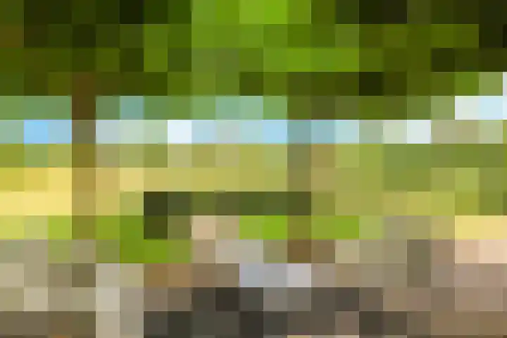 Groeneweg 8 Hummelo thumbnail 92