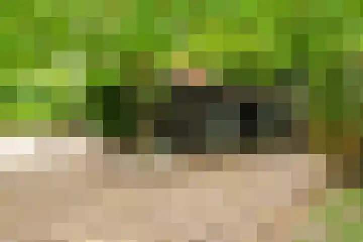 Groeneweg 8 Hummelo thumbnail 93
