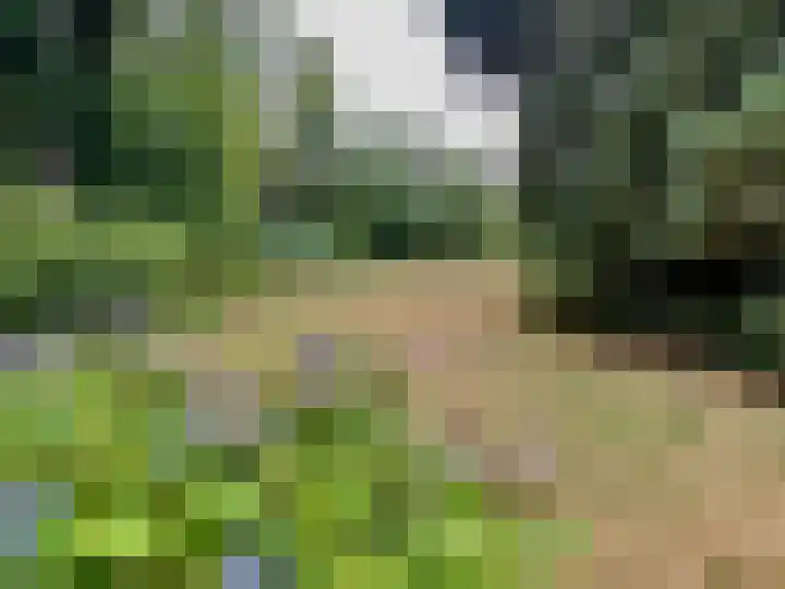Groeneweg 8 Maria Hoop thumbnail 11