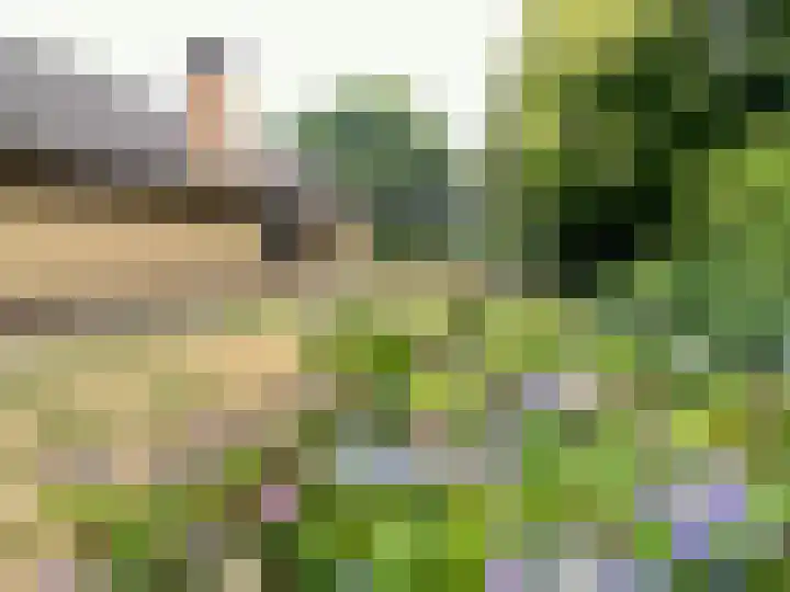 Groeneweg 8 Maria Hoop thumbnail 12