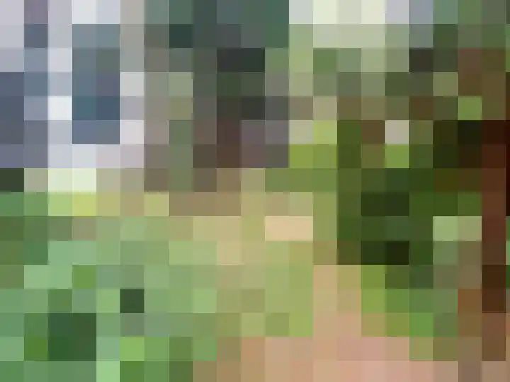 Groeneweg 8 Maria Hoop thumbnail 13
