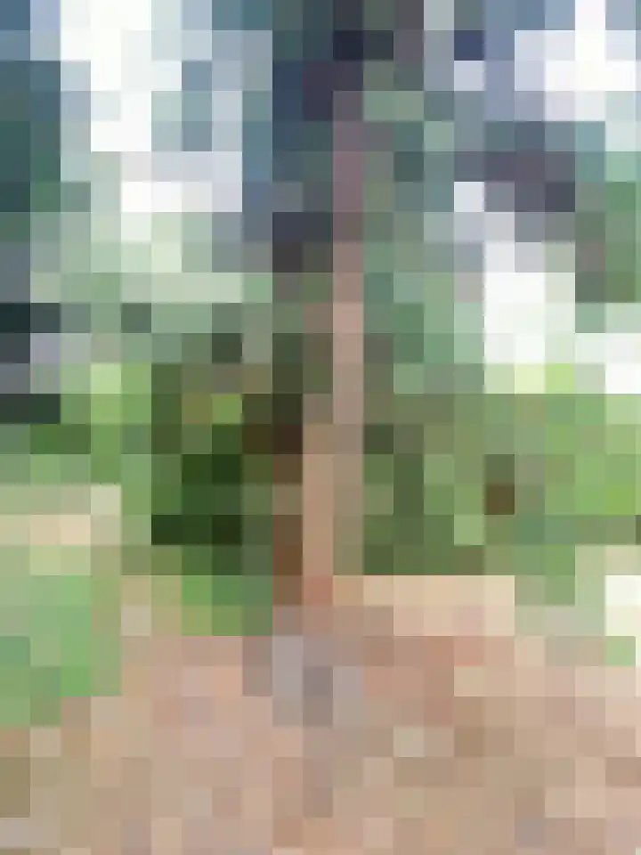 Groeneweg 8 Maria Hoop thumbnail 14