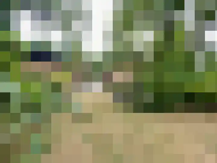 Groeneweg 8 Maria Hoop thumbnail 5