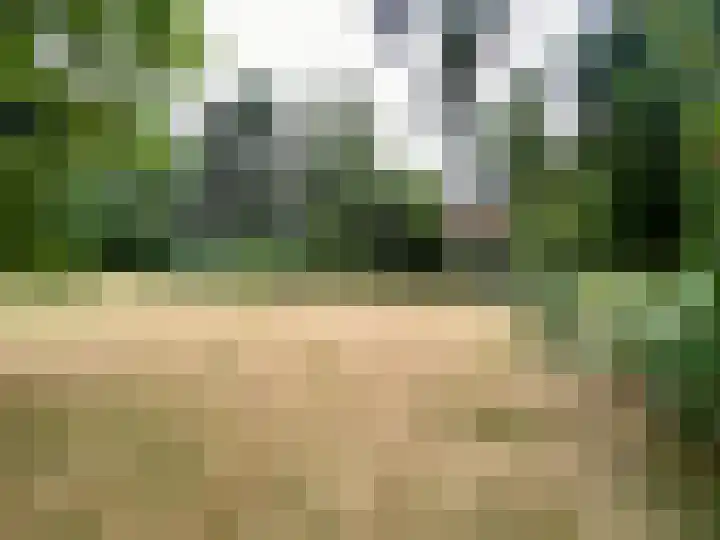 Groeneweg 8 Maria Hoop thumbnail 6
