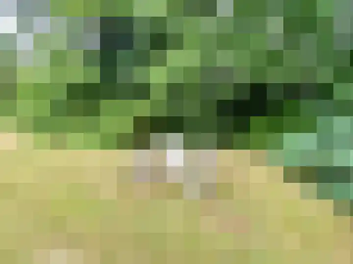 Groeneweg 8 Maria Hoop thumbnail 9