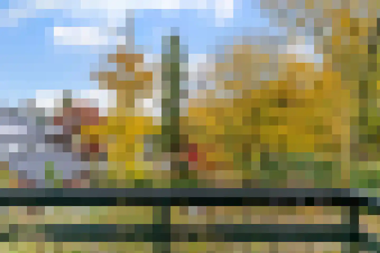 Groeneweg 8 Renkum thumbnail 33