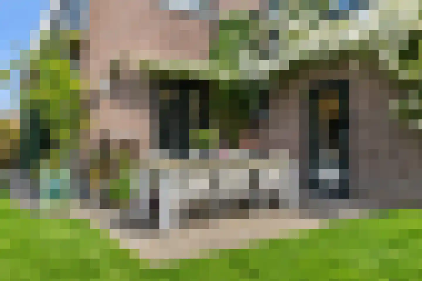 Groeneweg 8 Renkum thumbnail 33