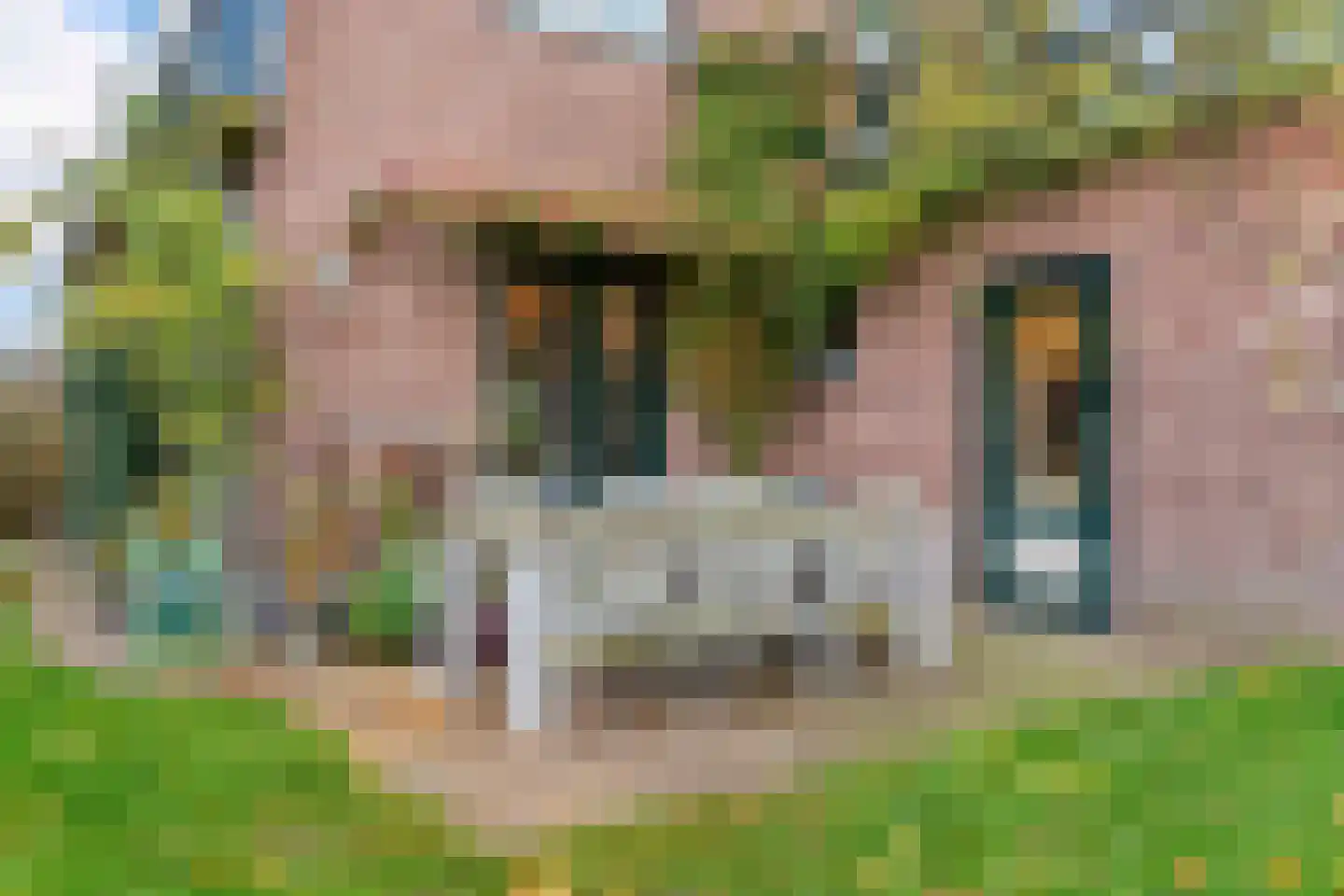Groeneweg 8 Renkum thumbnail 34