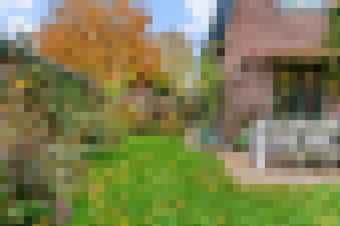 Groeneweg 8 Renkum thumbnail 35