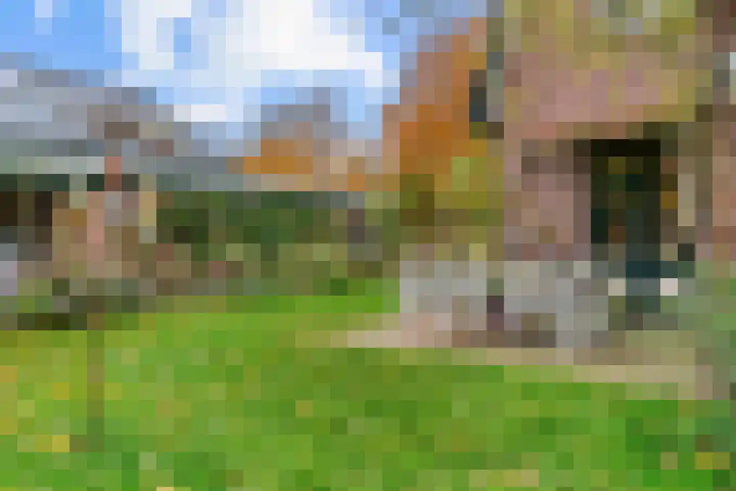Groeneweg 8 Renkum thumbnail 37