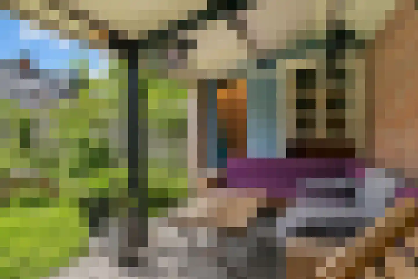 Groeneweg 8 Renkum thumbnail 39