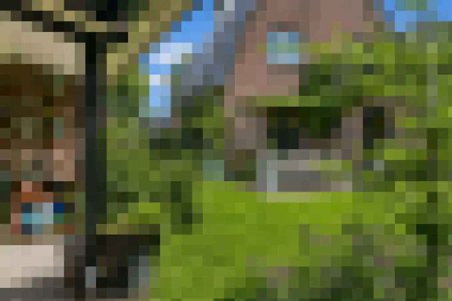 Groeneweg 8 Renkum thumbnail 41