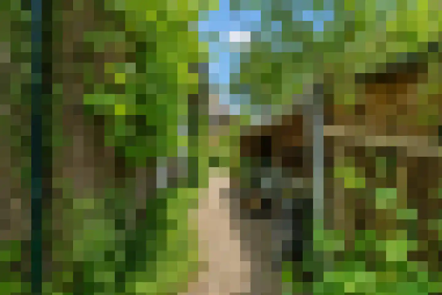 Groeneweg 8 Renkum thumbnail 42