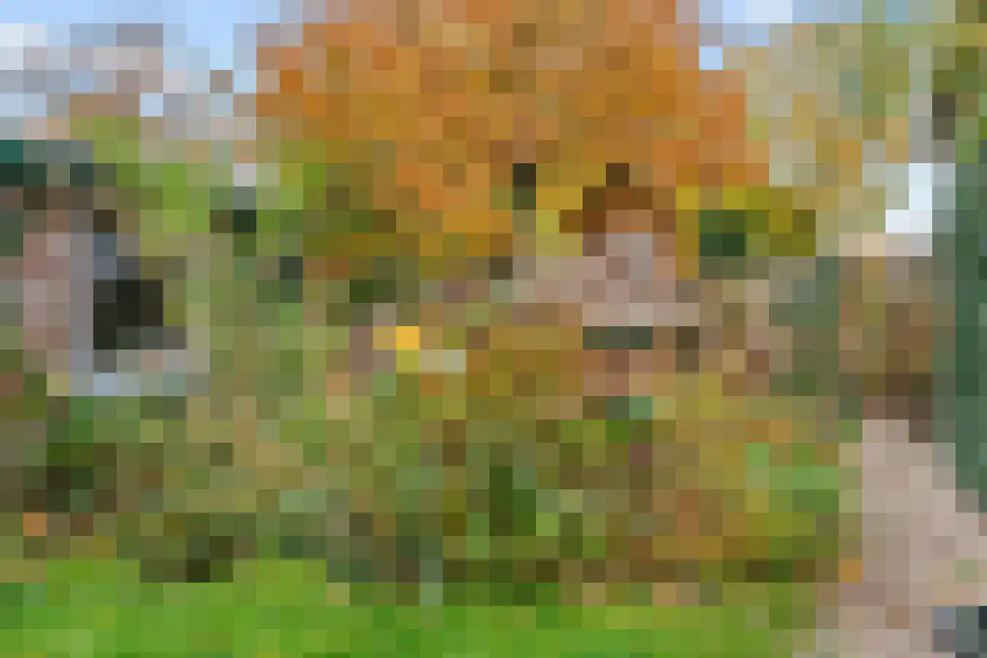 Groeneweg 8 Renkum thumbnail 45