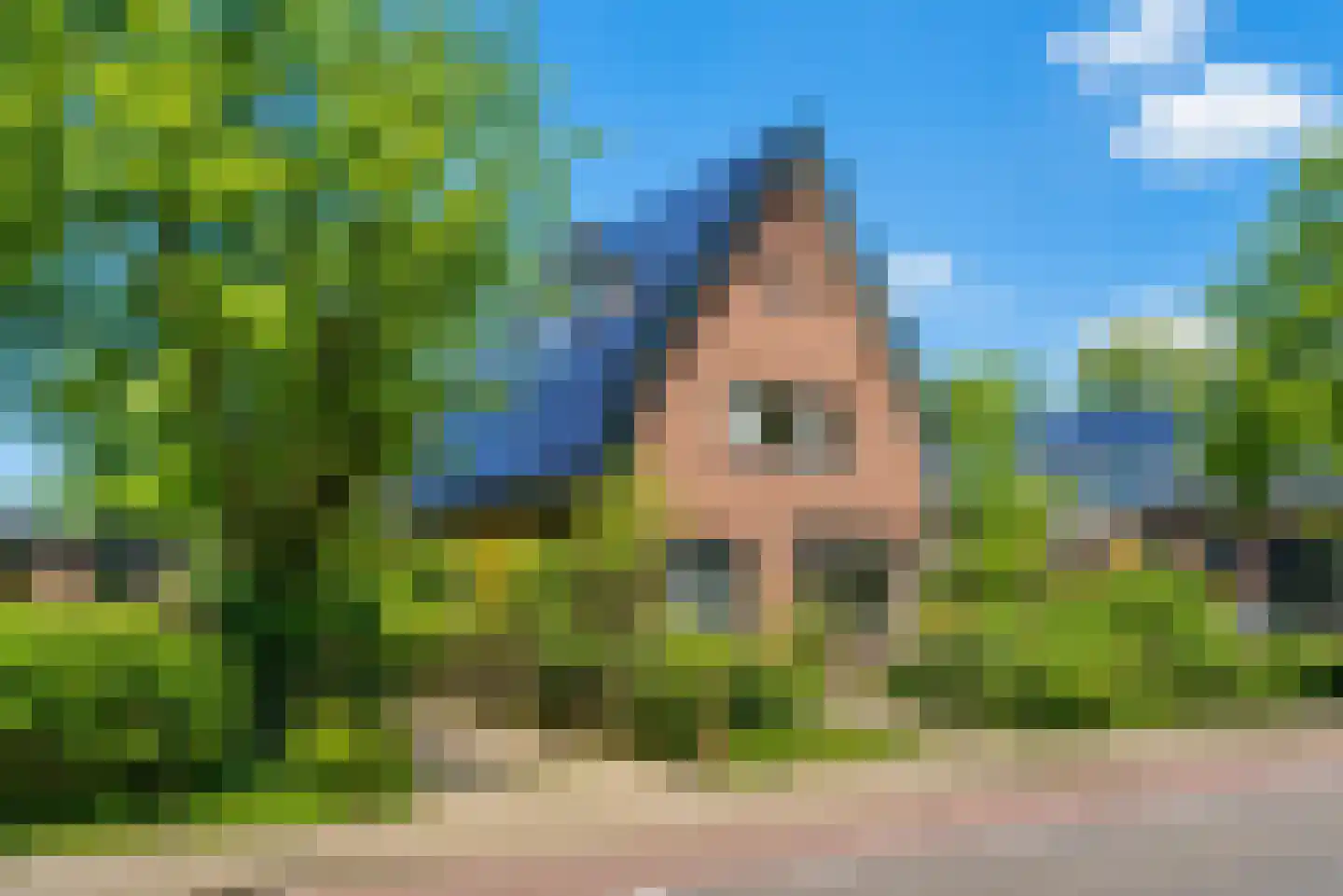 Groeneweg 8 Renkum thumbnail 46