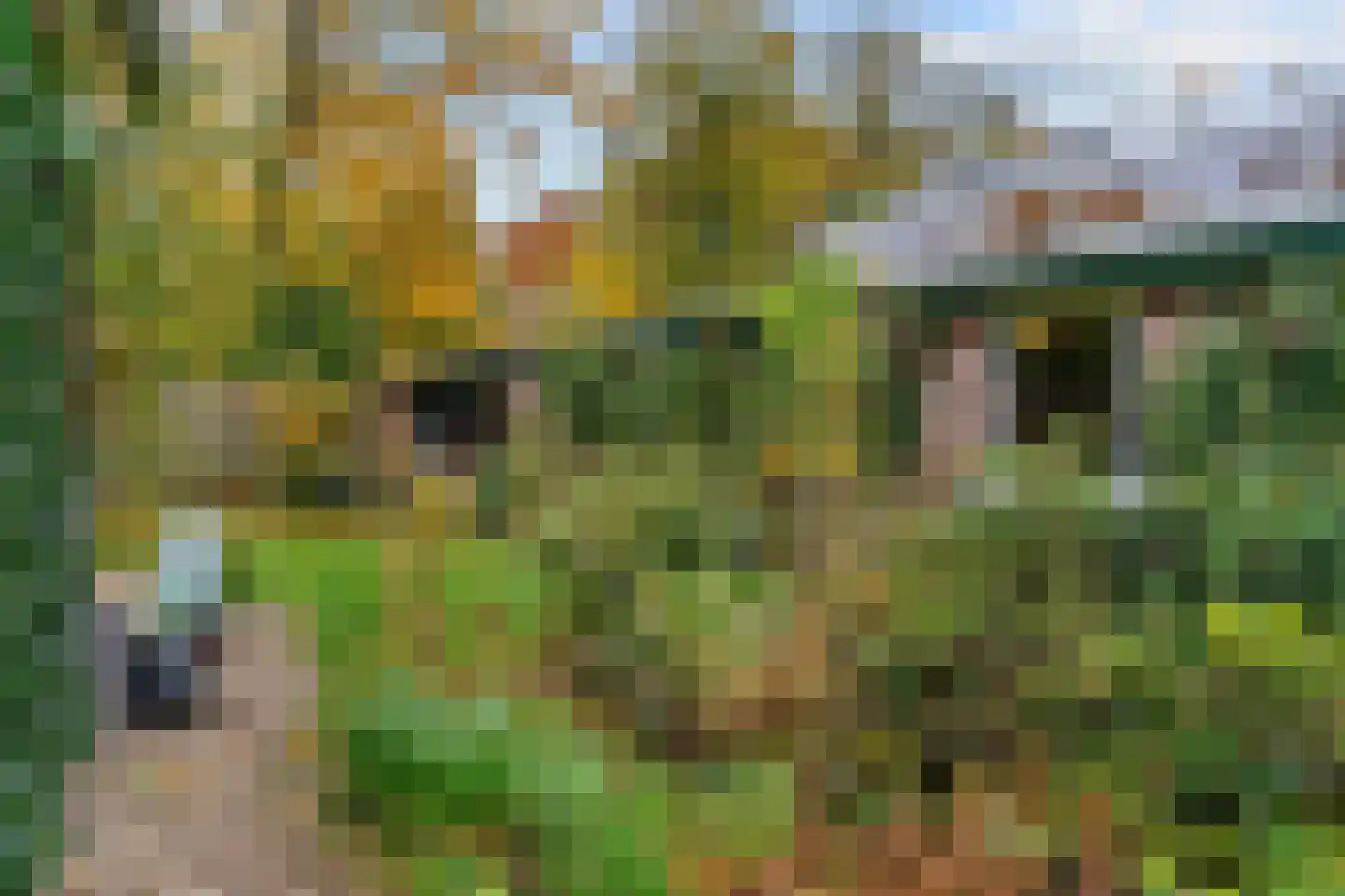 Groeneweg 8 Renkum thumbnail 47